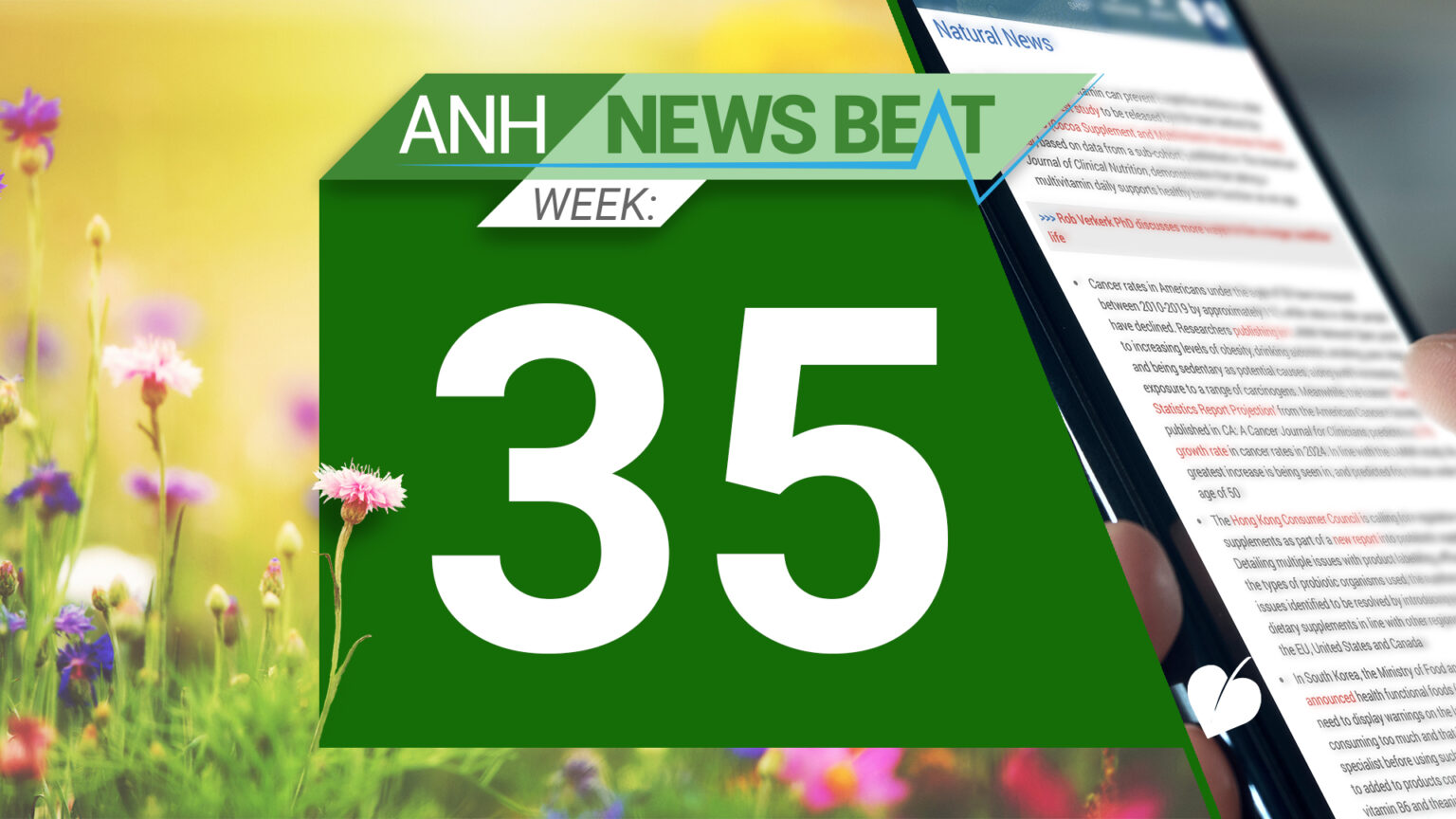 ANH News Beat (week 35/2024) 66d6ea1d5b8e9.jpeg