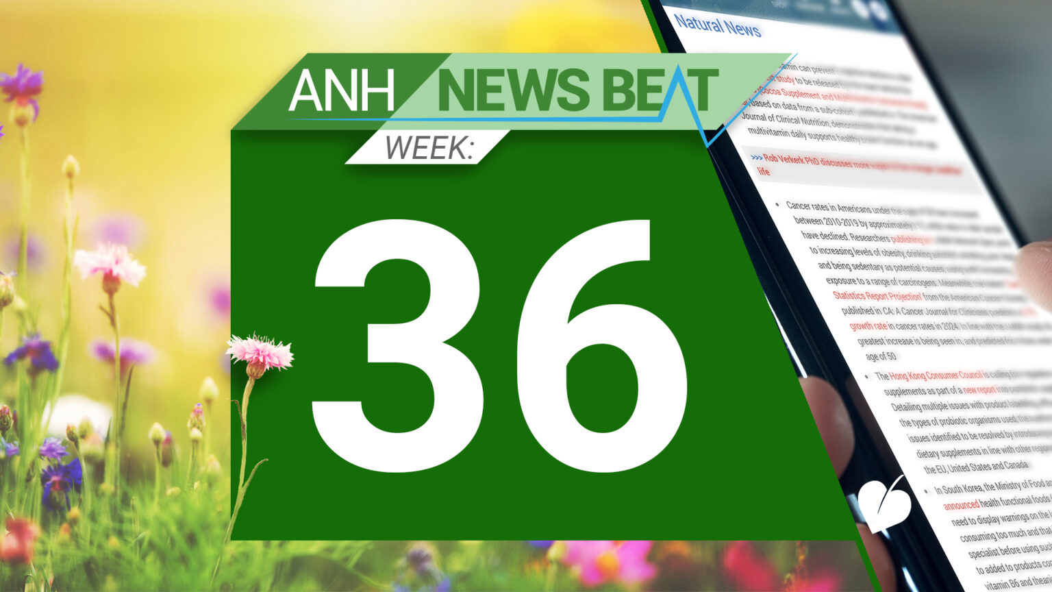 ANH News Beat (week 36/2024) 66df4238a2a0f.jpeg