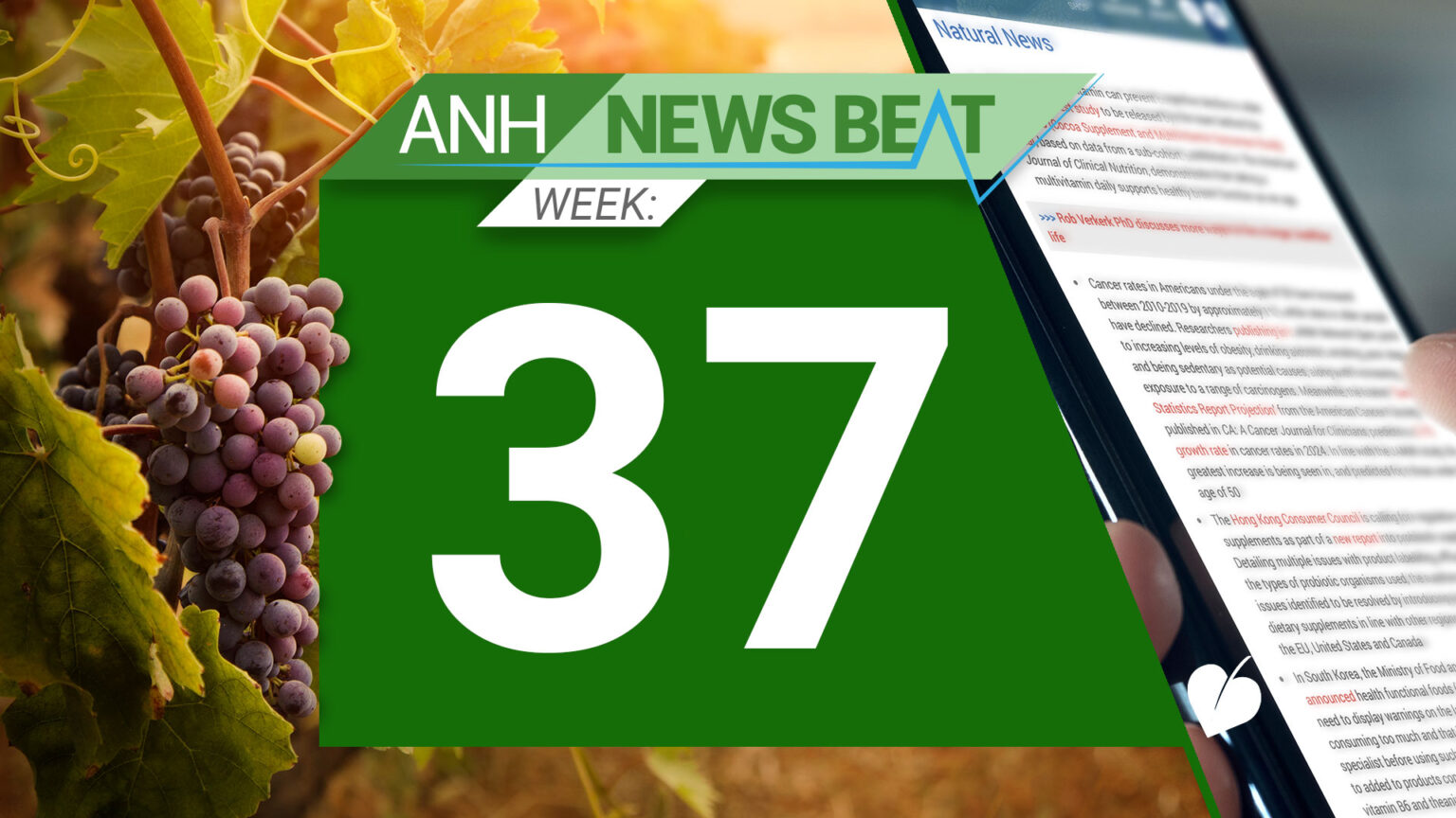 ANH News Beat (week 37/2024) 66e87d602c107.jpeg