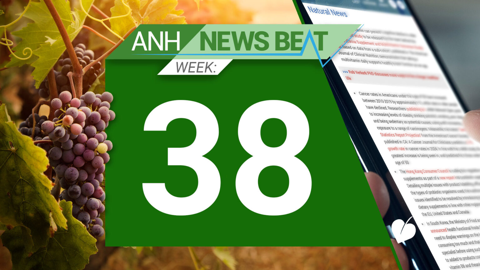 ANH News Beat (week 38/2024) 66f1cb51de28a.jpeg