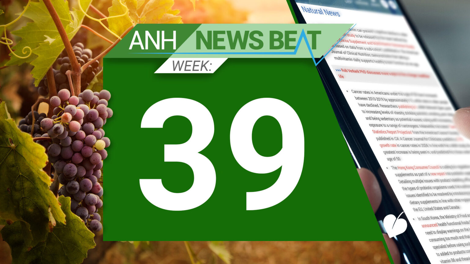 ANH News Beat (week 39/2024) 66face5b85249.jpeg