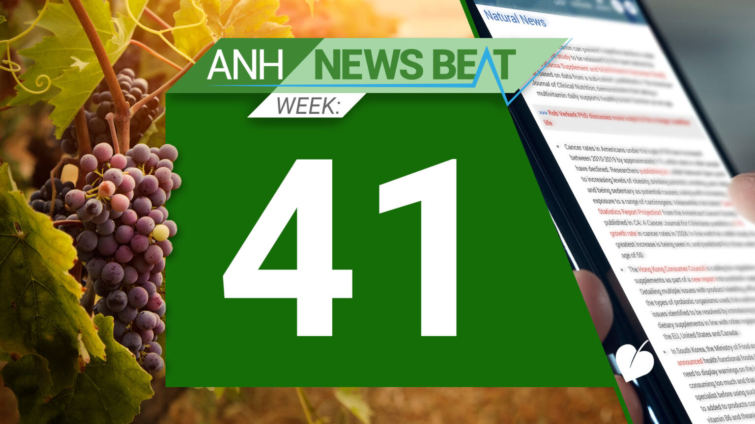 ANH News Beat (week 41/2024) 670d50ac36ade.jpeg