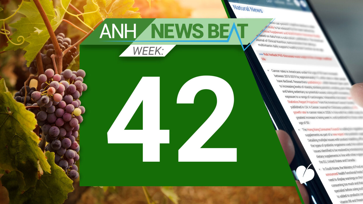 ANH News Beat (week 42/2024) 6717a88e11179.jpeg