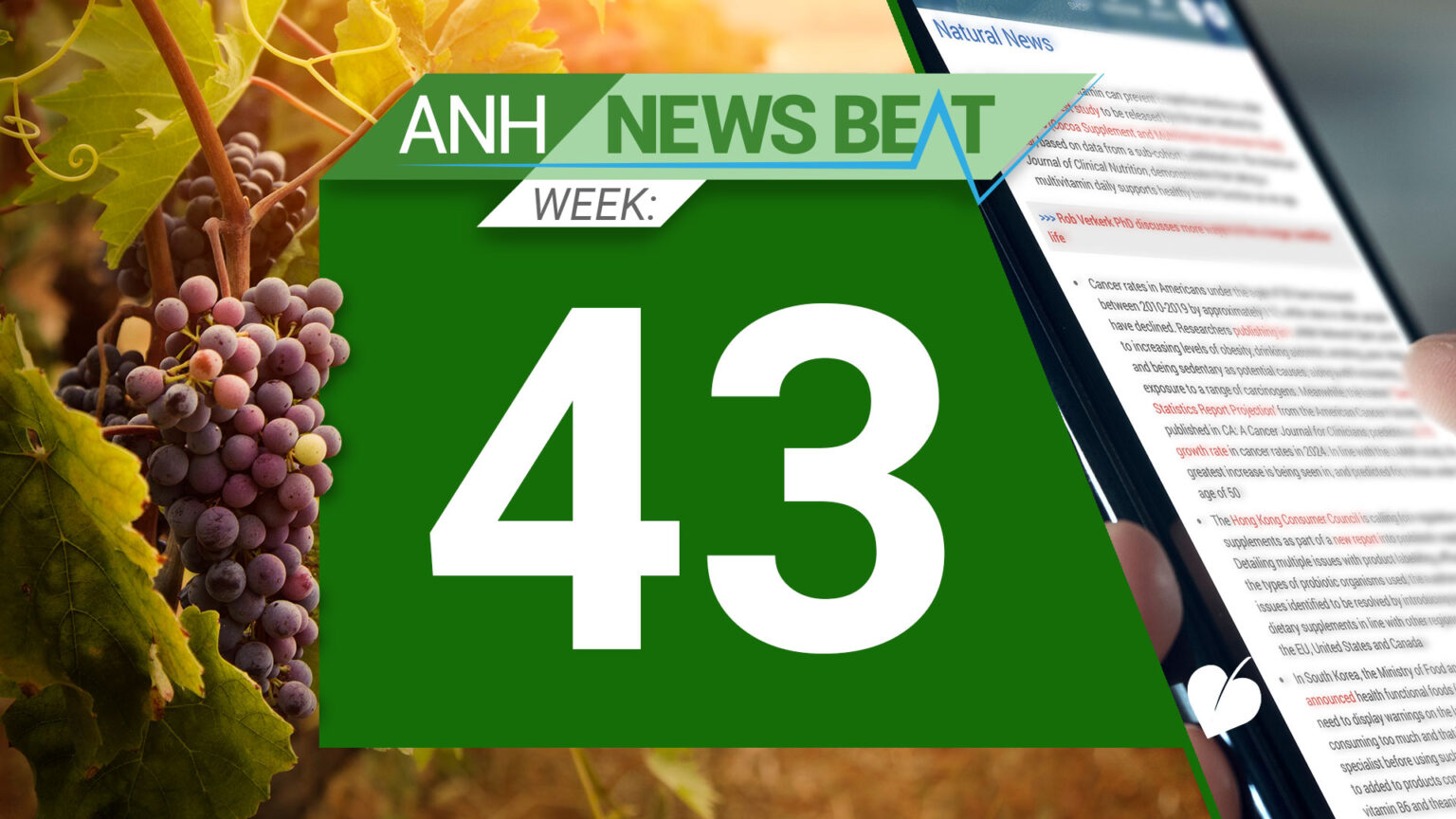 ANH News Beat (week 43/2024) 671fc9d58f1cb.jpeg