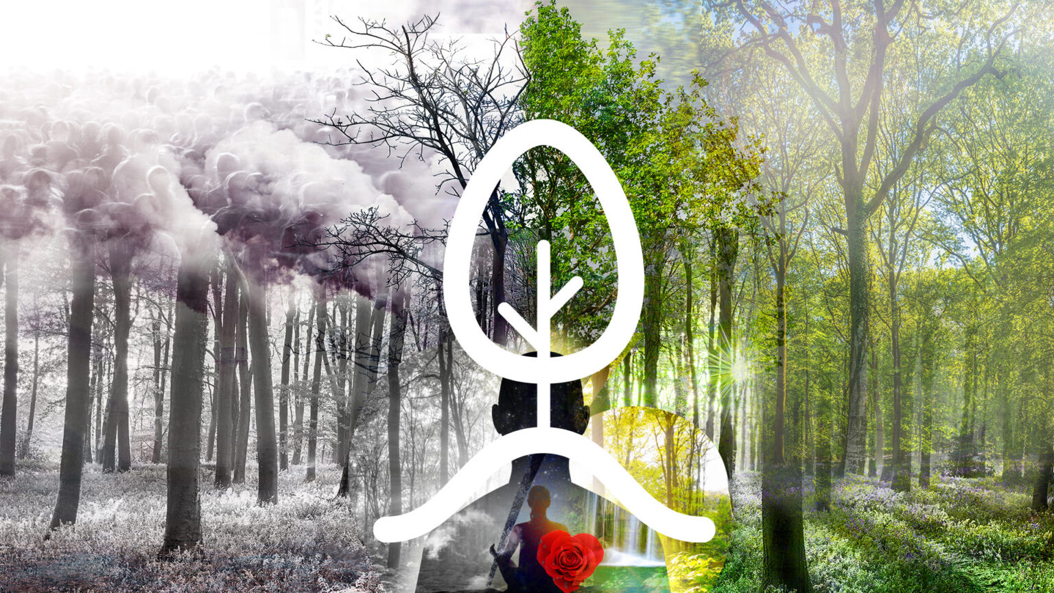 In Case you Missed It – Third quarter 2024 670d50c0040cc.jpeg