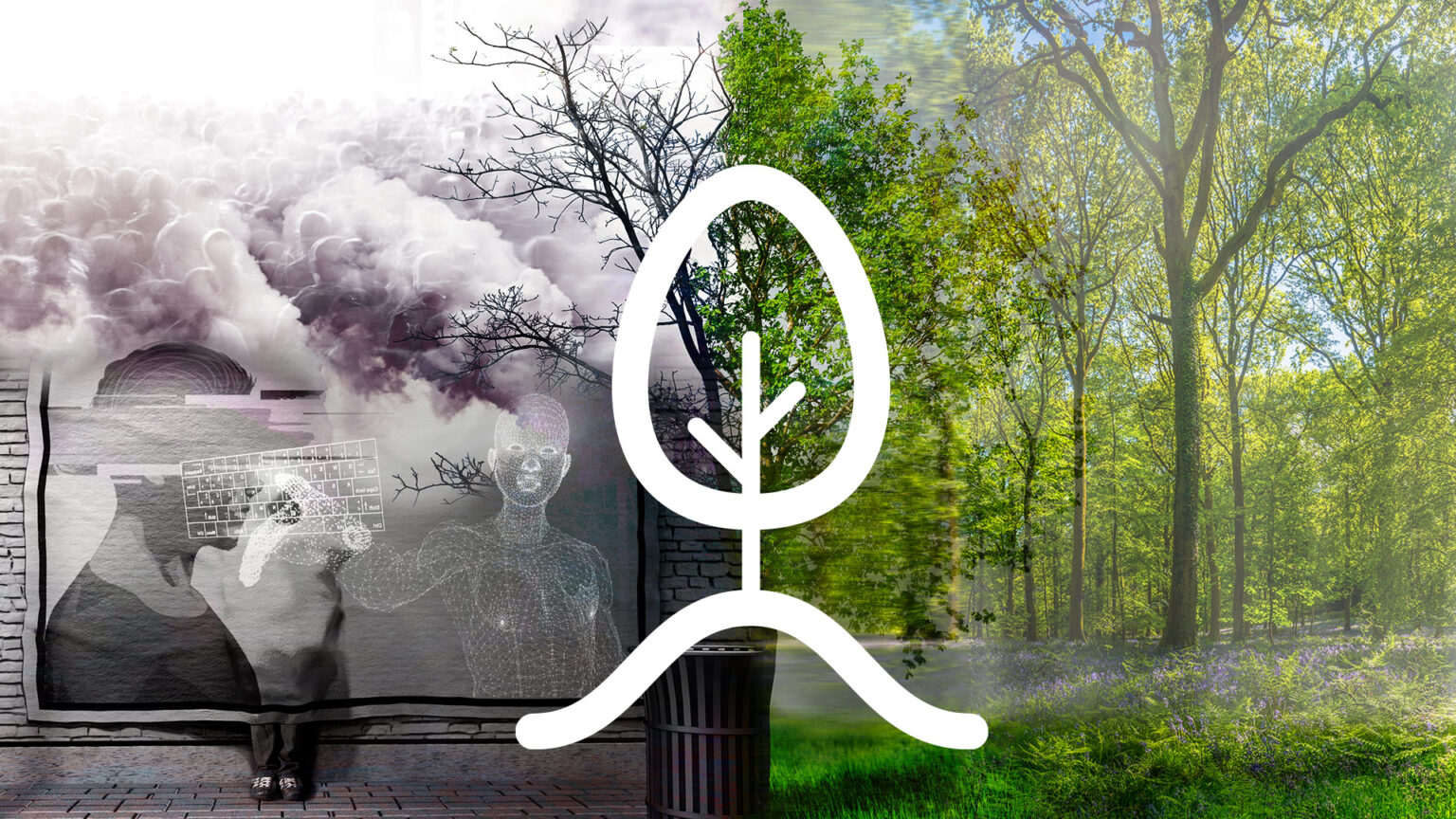 In Case you Missed It – Third quarter 2024 670d50c2210a7.jpeg