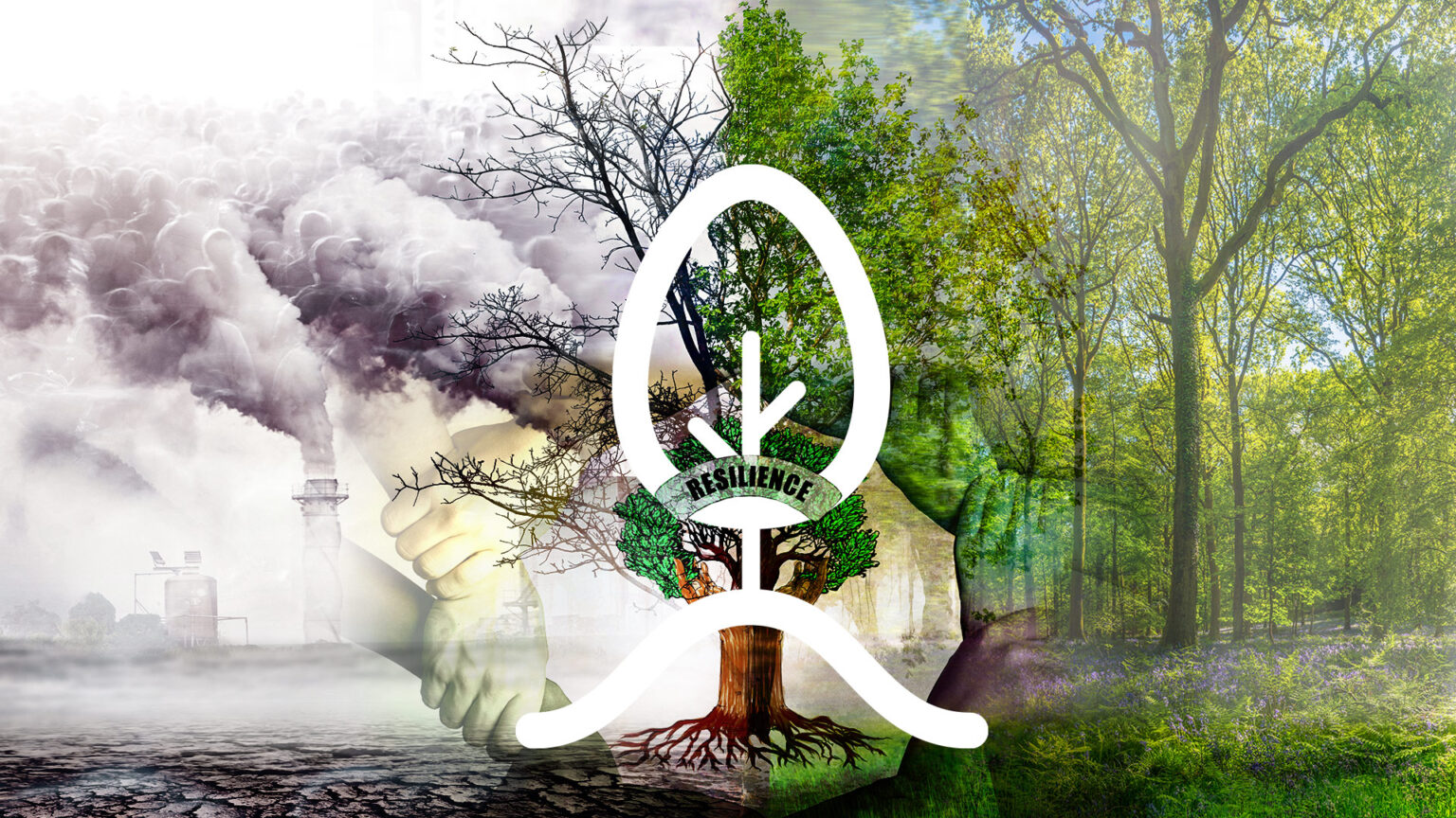 In Case you Missed It – Third quarter 2024 670d50c447b22.jpeg