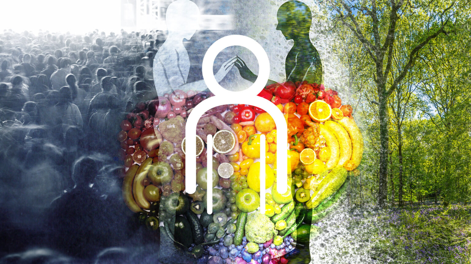 In Case you Missed It – Third quarter 2024 670d50d83d2cf.jpeg