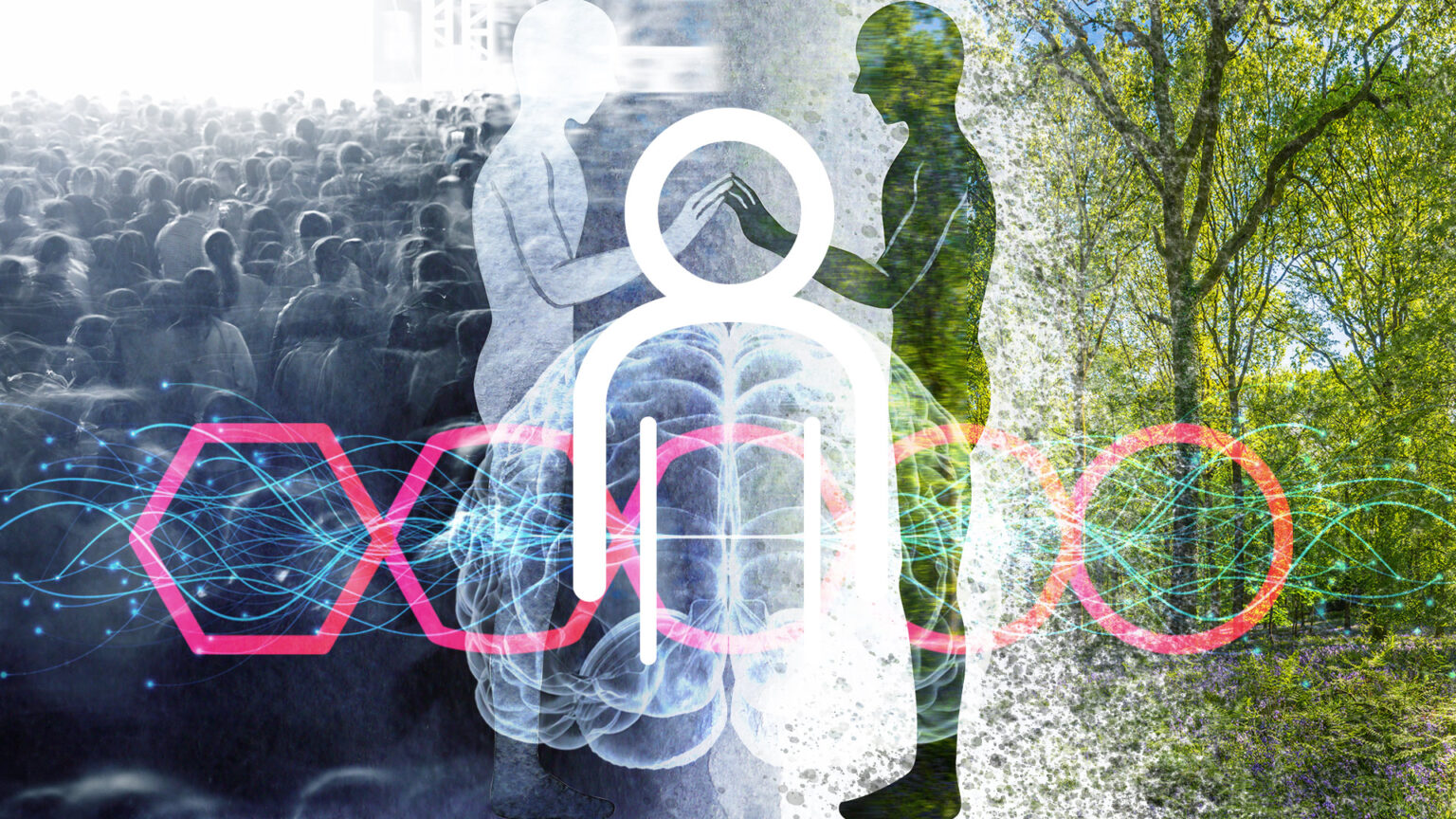 In Case you Missed It – Third quarter 2024 670d50da5cfca.jpeg