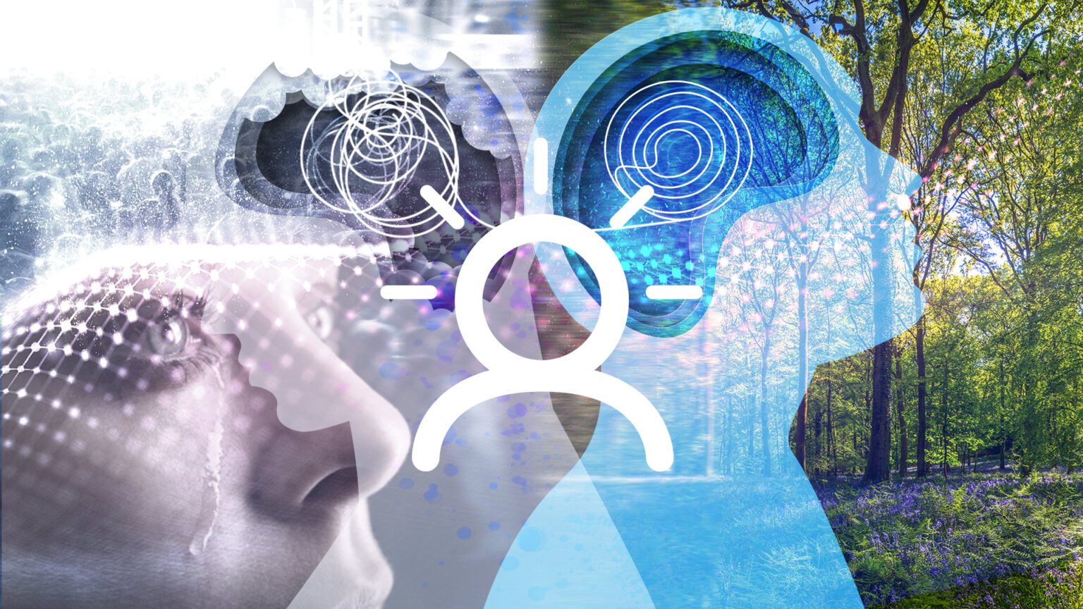 In Case you Missed It – Third quarter 2024 670d50de78c6e.jpeg