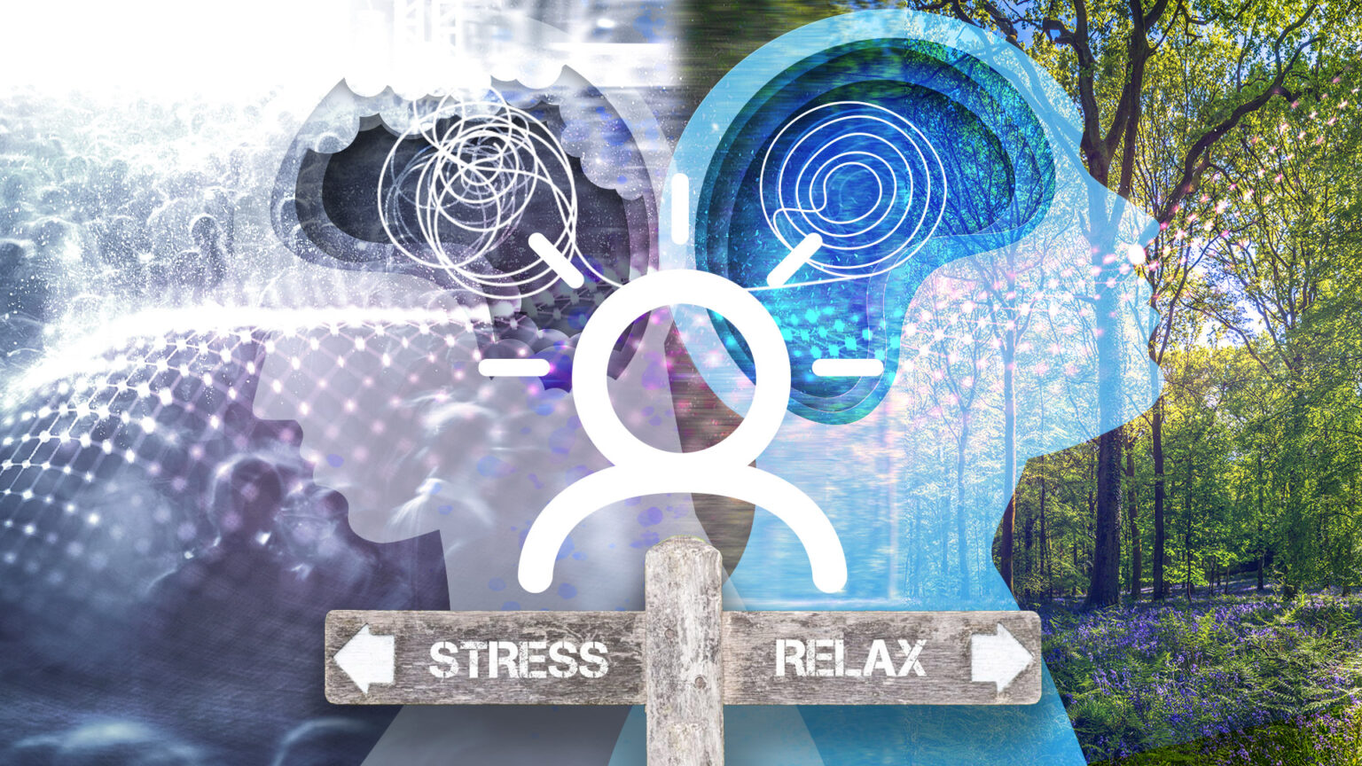 In Case you Missed It – Third quarter 2024 670d50e084efe.jpeg