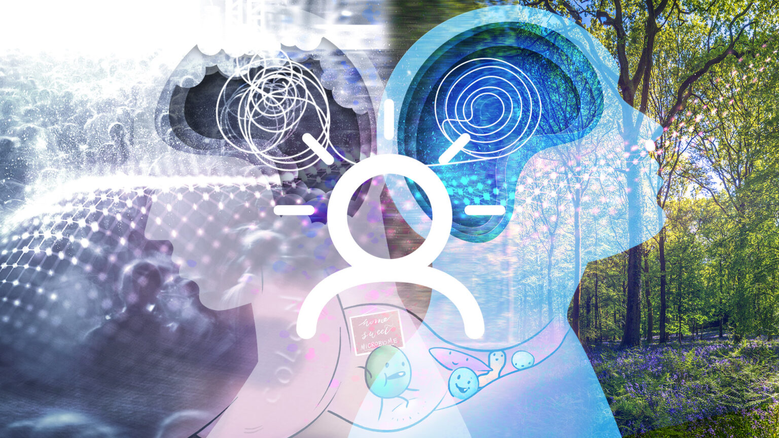 In Case you Missed It – Third quarter 2024 670d50e2a3a23.jpeg