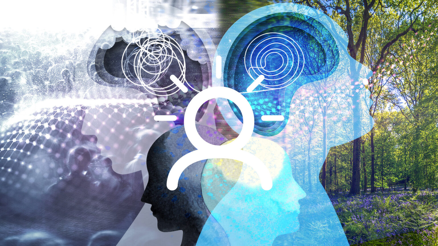 In Case you Missed It – Third quarter 2024 670d50e4b0b1b.jpeg