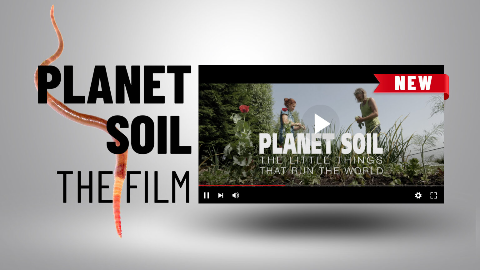 In Case you Missed It – Third quarter 2024 670d50e8cad87.jpeg