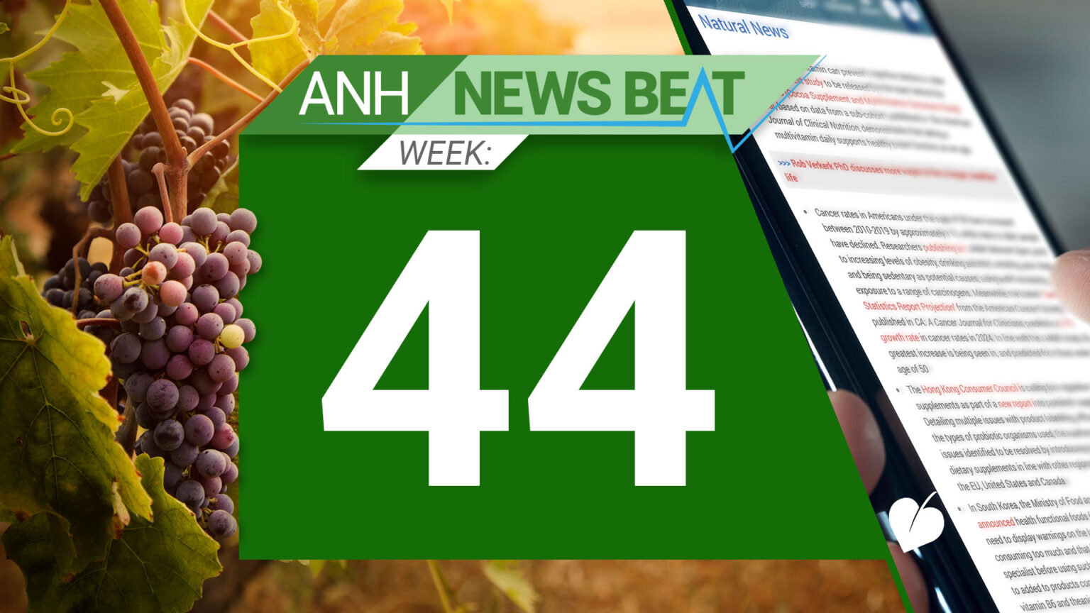 ANH News Beat (week 44/2024) 6729386f55b4d.jpeg