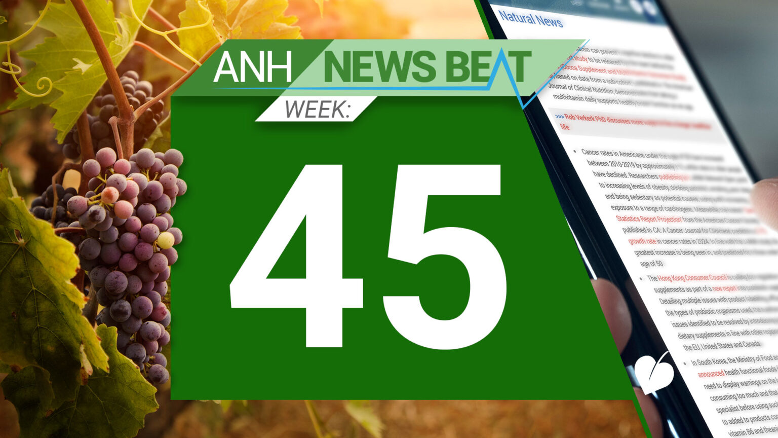 ANH News Beat (week 45/2024) 67322cfeadf80.jpeg
