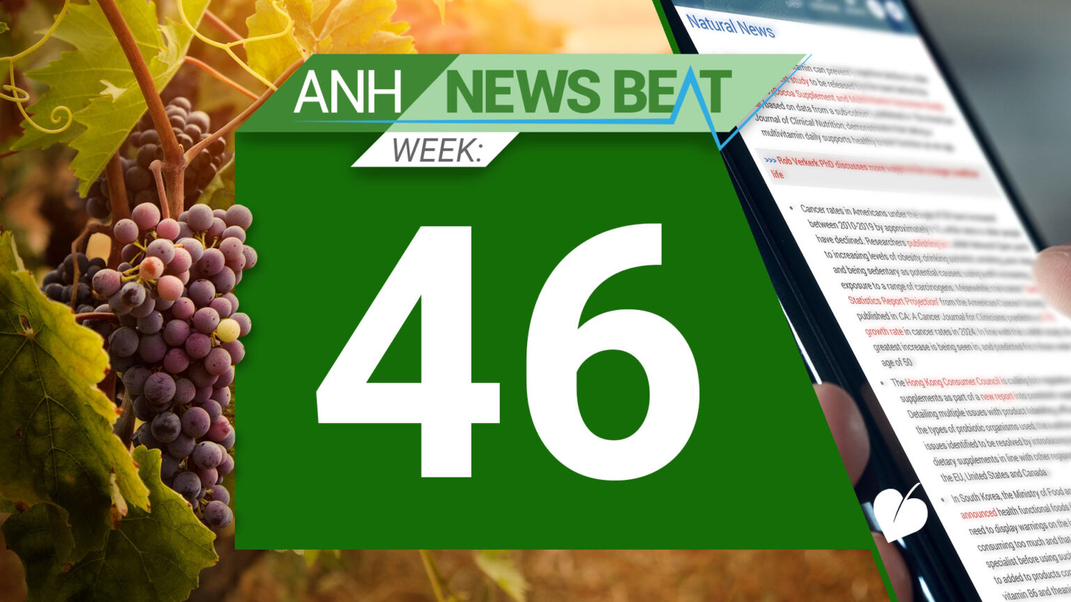 ANH News Beat (week 46/2024) 673b67e14780b.jpeg