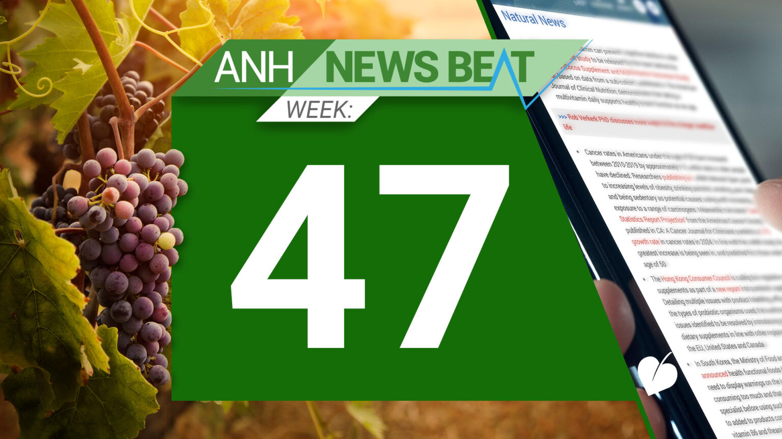 ANH News Beat (week 47/2024) 67459d099a71a.jpeg