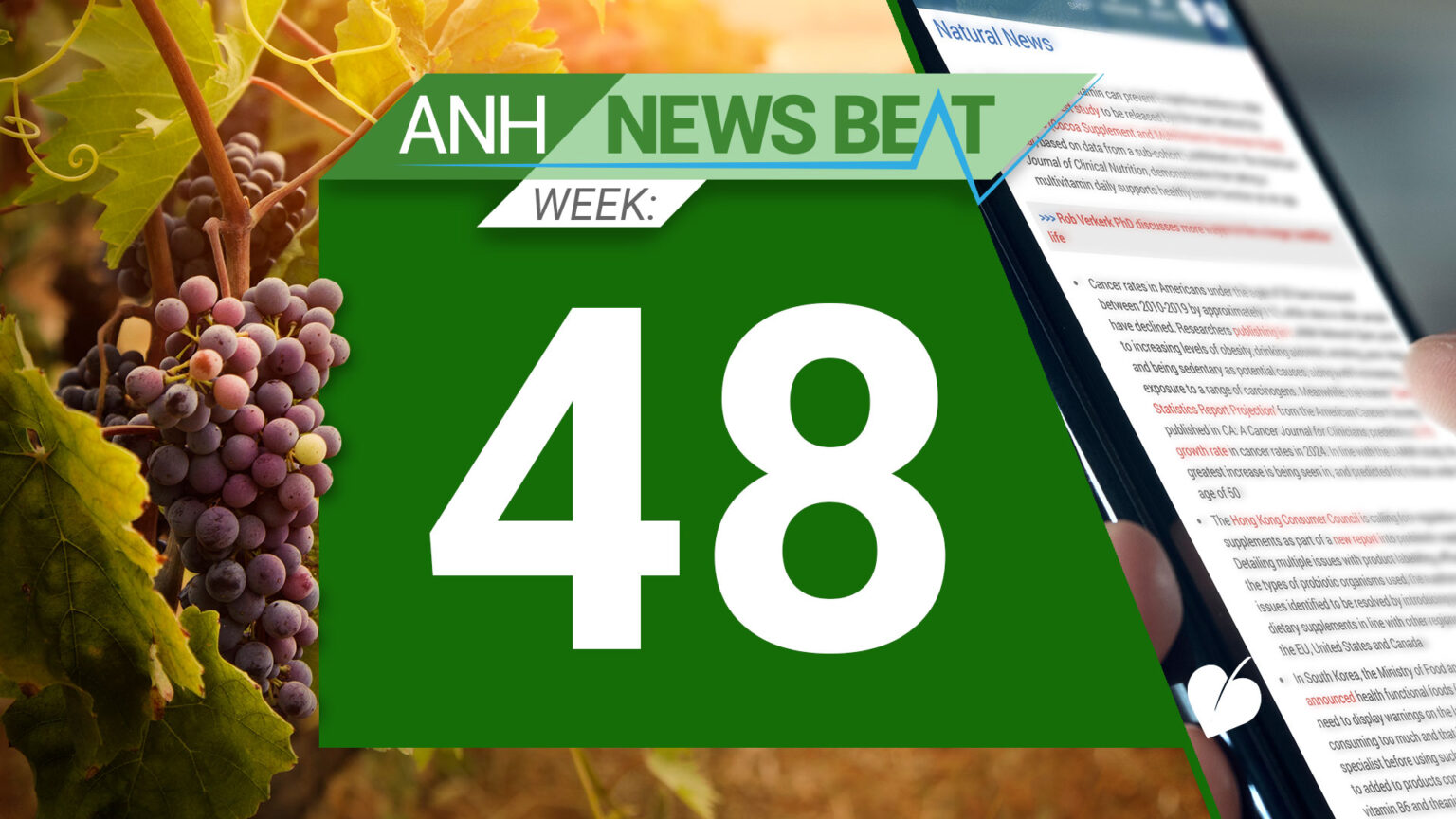ANH News Beat (week 48/2024) 674e02f32cdf7.jpeg