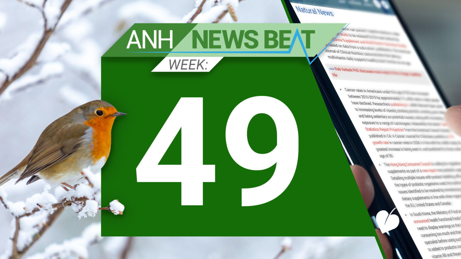 ANH News Beat (week 49/2024) 6758725138436.jpeg