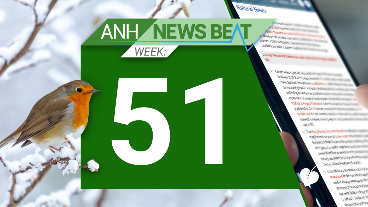ANH News Beat (week 51/2024) 676a38a164ce0.jpeg
