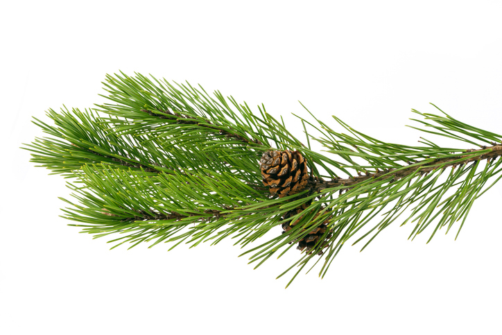 Heartfelt wishes for a wonderful festive break! 676a3895cadc6.jpeg