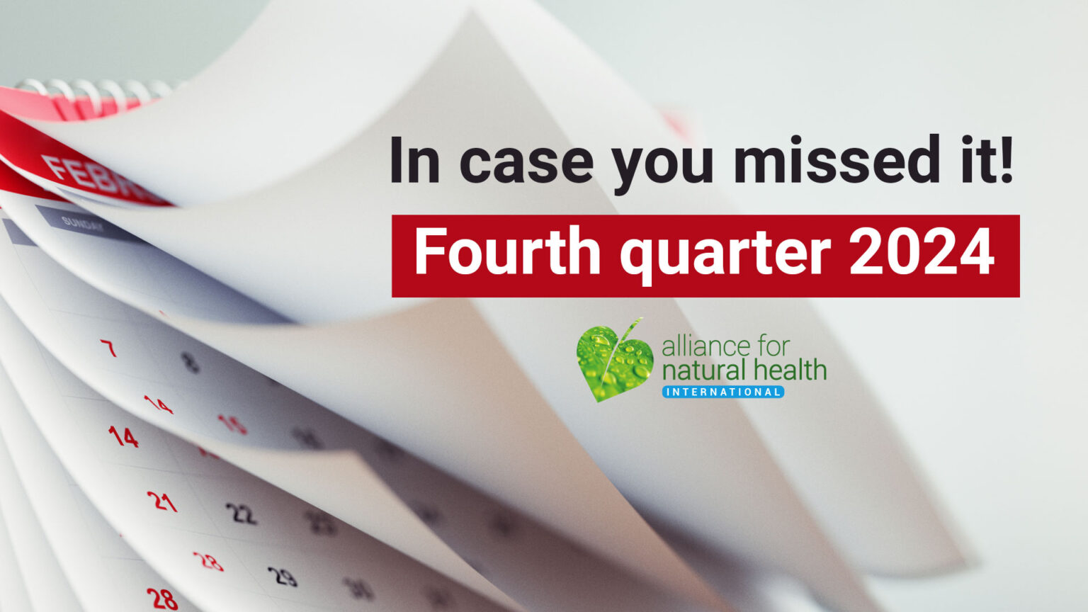 In Case you Missed It – Fourth quarter 2024 676a38a873fc0.jpeg