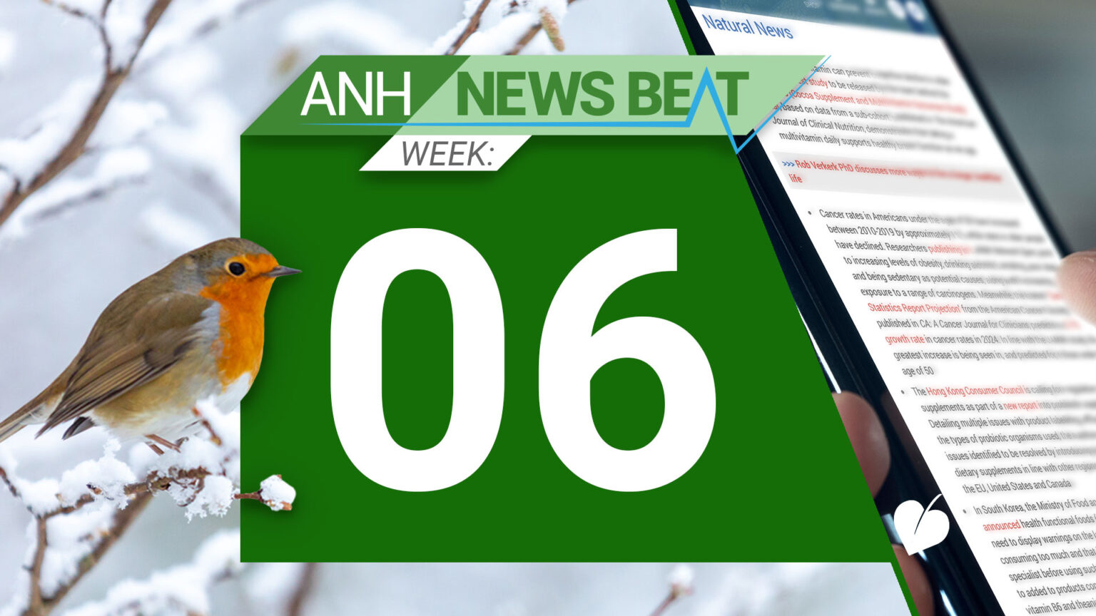ANH News Beat (week 06/2025) 67aa258869832.jpeg