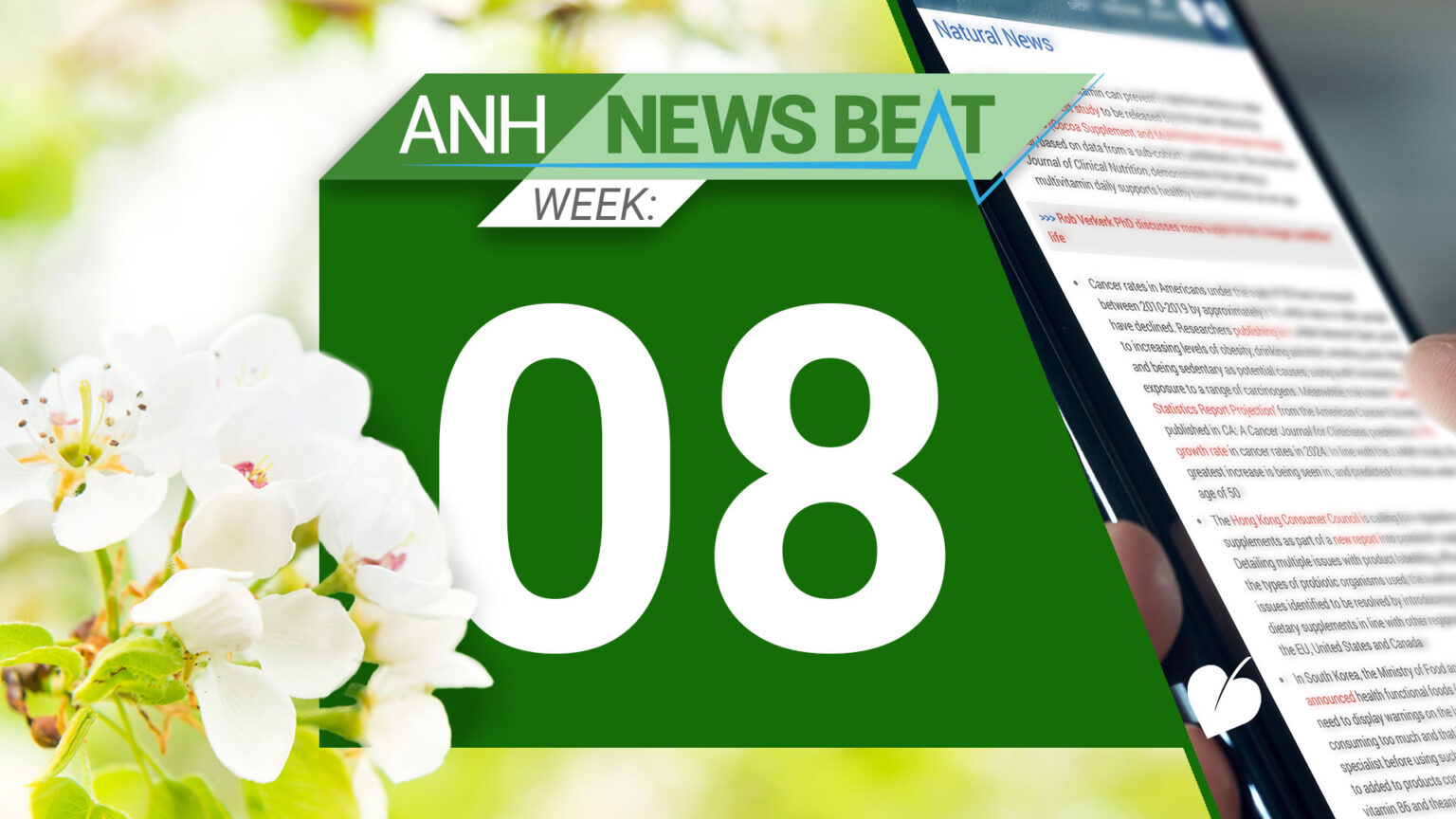 ANH News Beat (week 08/2025) 67bc9ab816778.jpeg