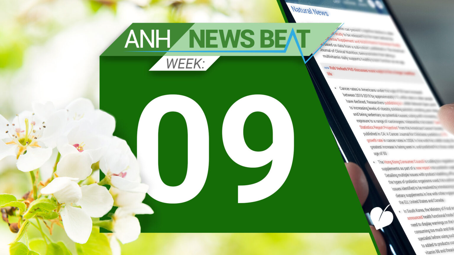 ANH News Beat (week 09/2025) 67c5d50c6532a.jpeg