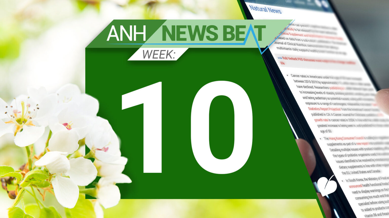 ANH News Beat (week 10/2025) 67cf0f8fc96e0.jpeg