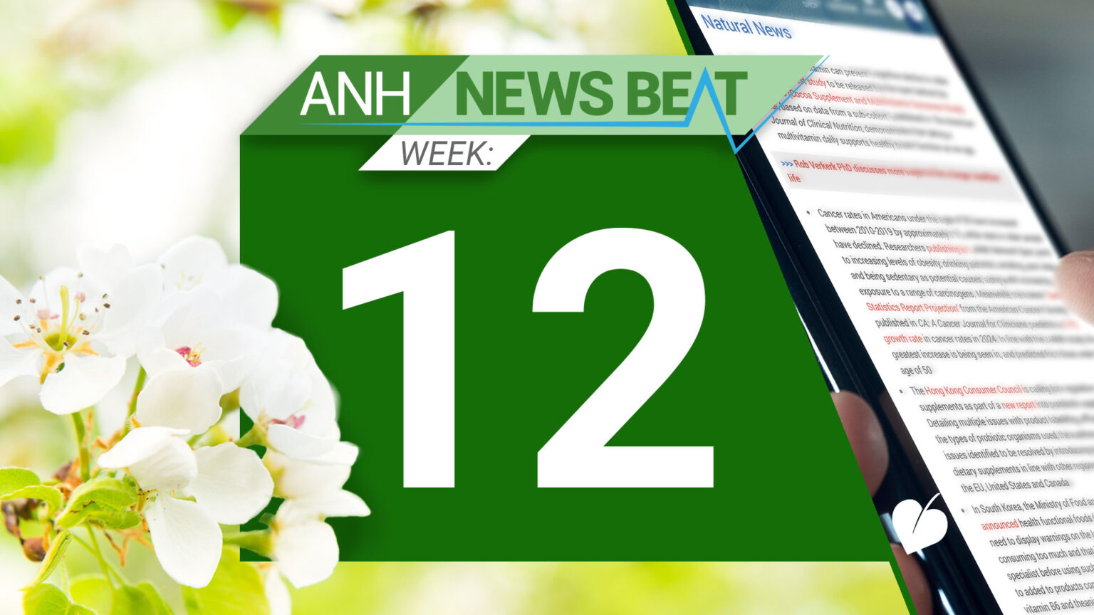 ANH News Beat (week 12/2025) 67e23354ba40a.jpeg