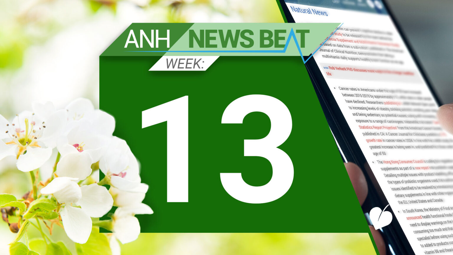 ANH News Beat (week 13/2025) 67eabf477d6c9.jpeg