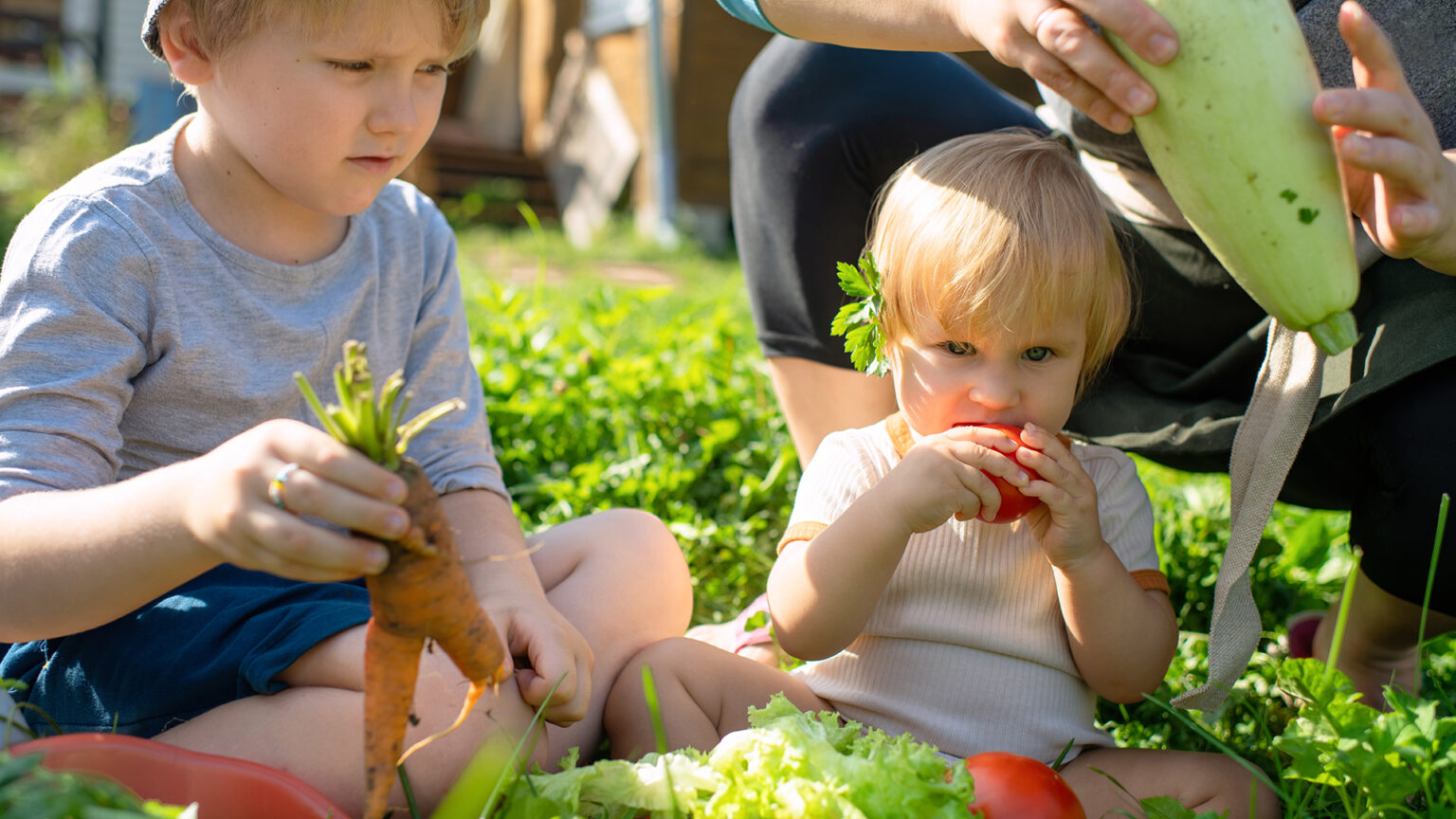 Guest Feature: Is ignoring nutrition driving children into neurodivergence? 67e23345dbf66.jpeg