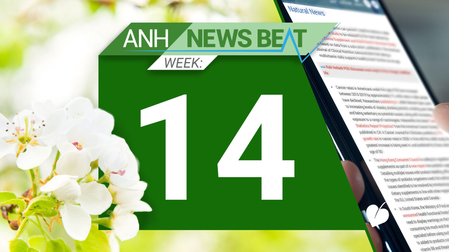 ANH News Beat (week 14/2025) 67f40734ce7f6.jpeg