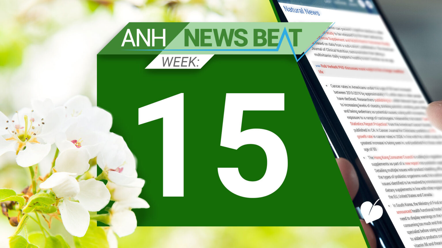 ANH News Beat (week 15/2025) 67fd37bc2b6a0.jpeg