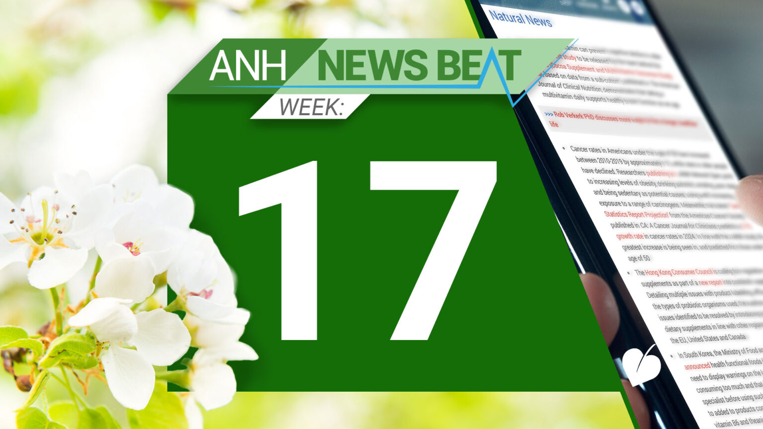 ANH News Beat (week 17/2025) 680fb5de4f8ee.jpeg