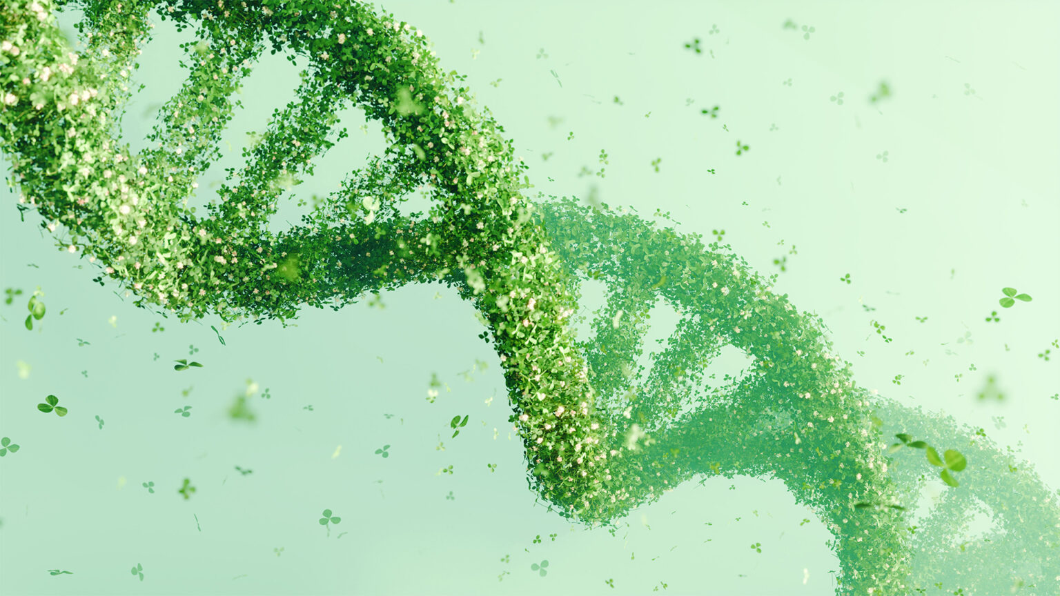 Bioengineering and GMO 2.0: ready to make an informed decision? 67f4072d0703e.jpeg