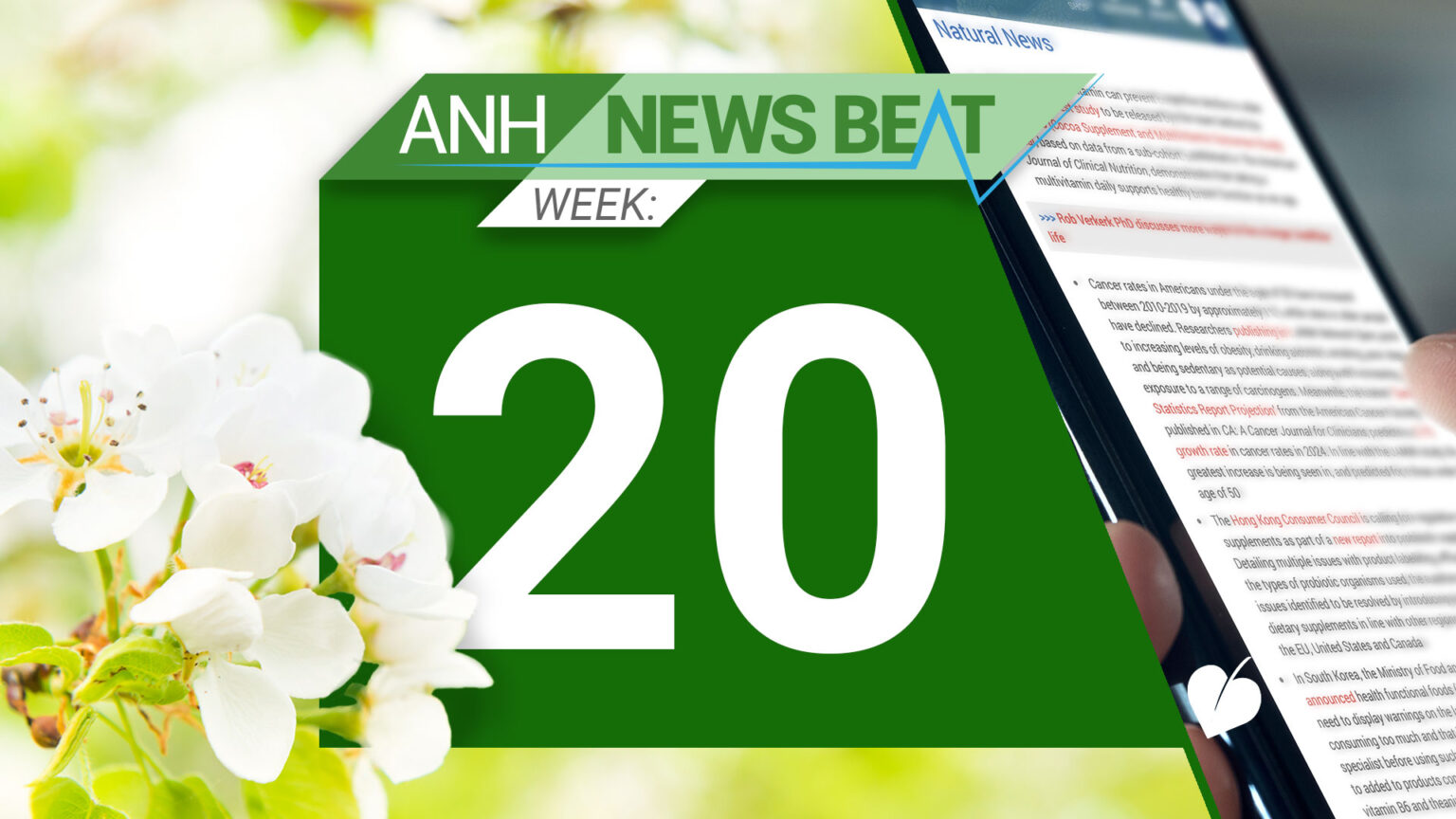 ANH News Beat (week 20/2025) 686e6078348d8.jpeg