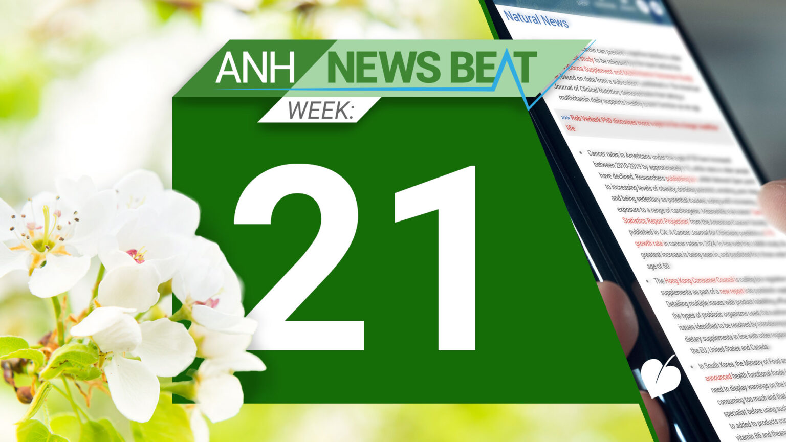 ANH News Beat (week 21/2025) 686e604bd314a.jpeg