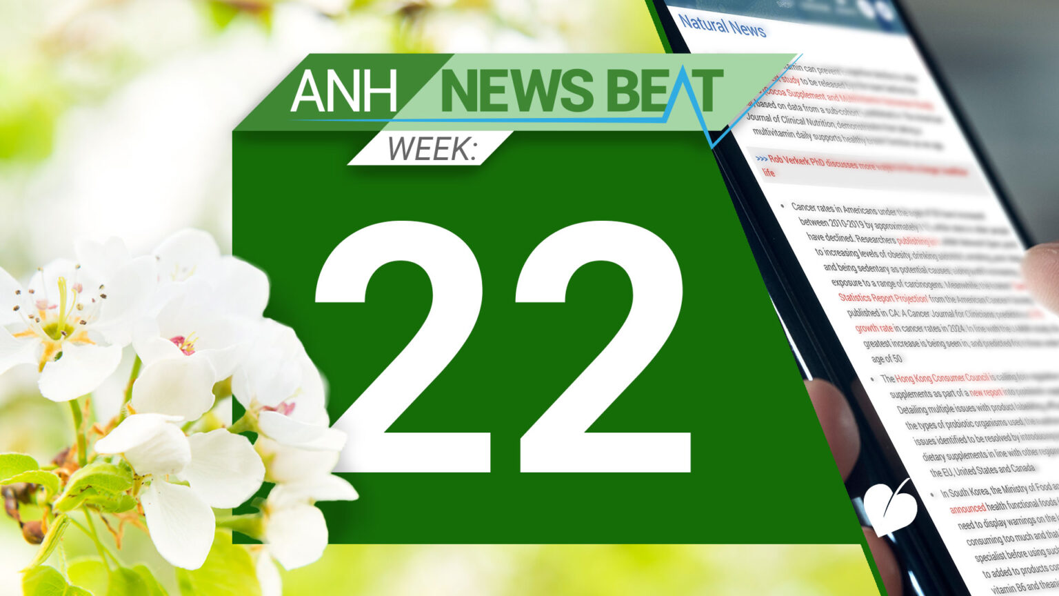 ANH News Beat (week 22/2025) 686e600e4f0c1.jpeg