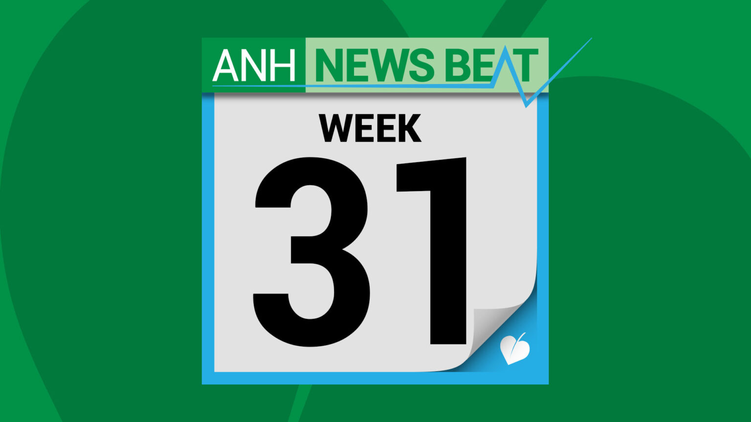 ANH News Beat (week 31/2025) 68a301b744aad.jpeg