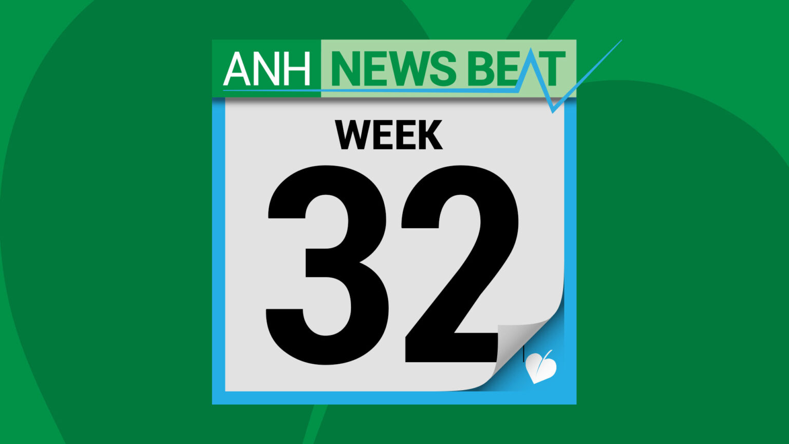 ANH News Beat (week 32/2025) 68a3017730923.jpeg