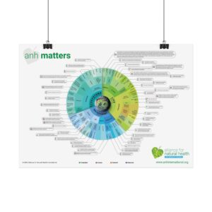 Poster - ANH Matters infographic