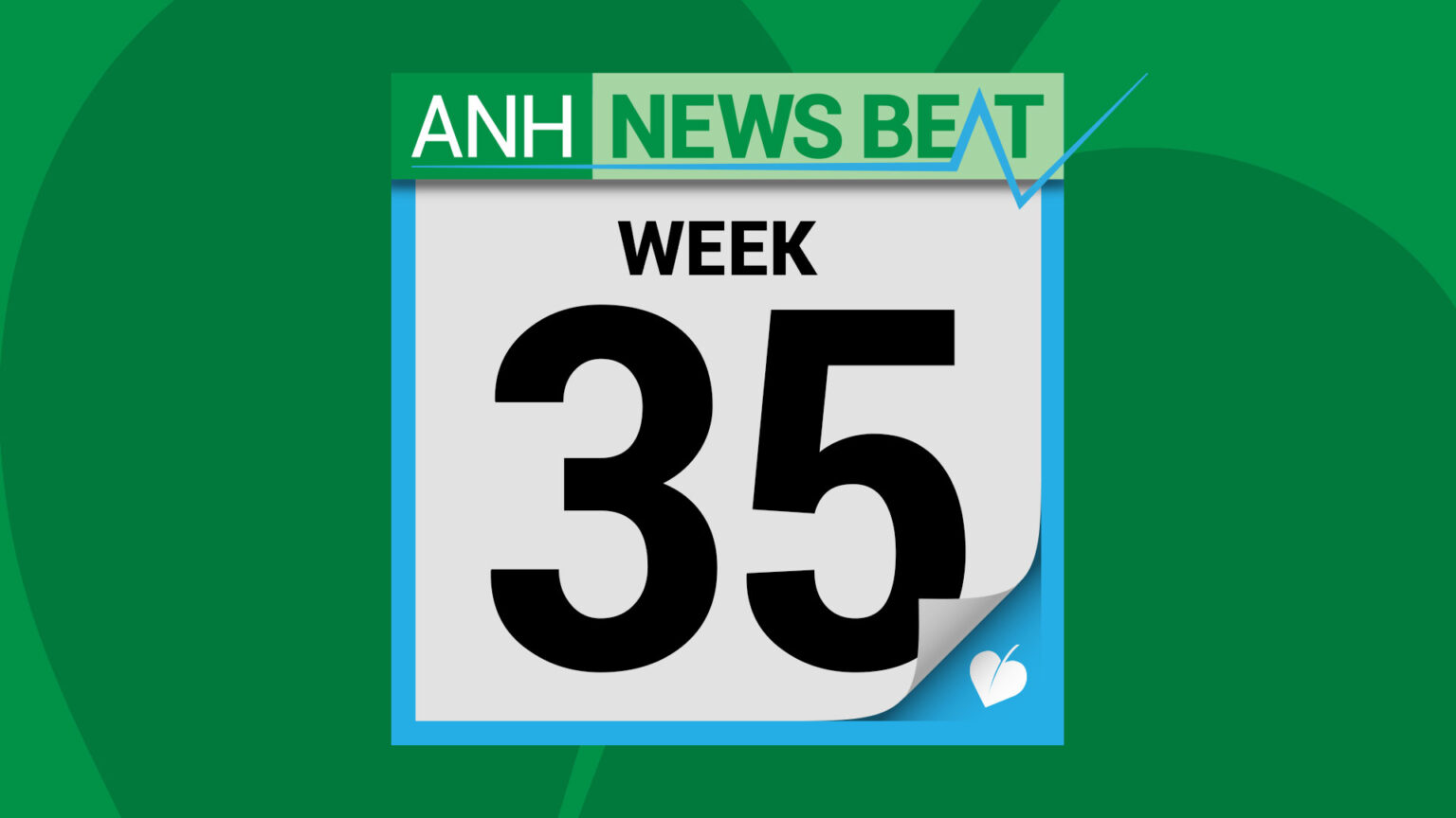 ANH News Beat (week 35/2025) 68b833ffb72ca.jpeg