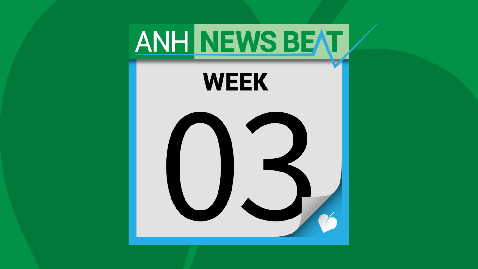 ANH News Beat (week 03/2026) 696ea5b80df4e.png