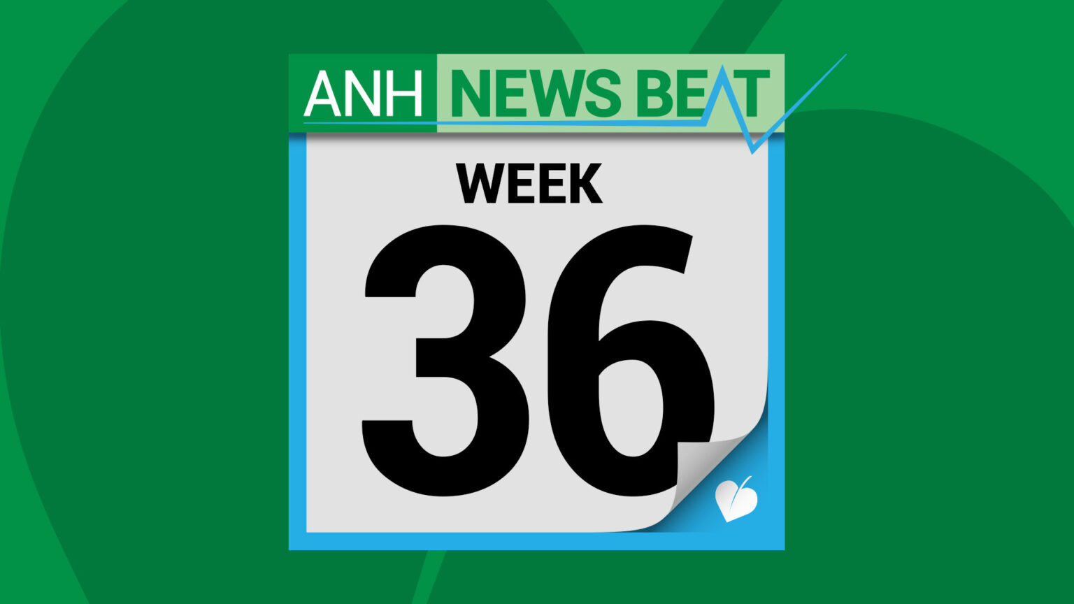 ANH News Beat (week 36/2025) 696ea7a11835f.jpeg