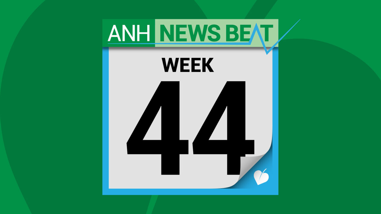 ANH News Beat (week 44/2025) 696ea6da97667.jpeg