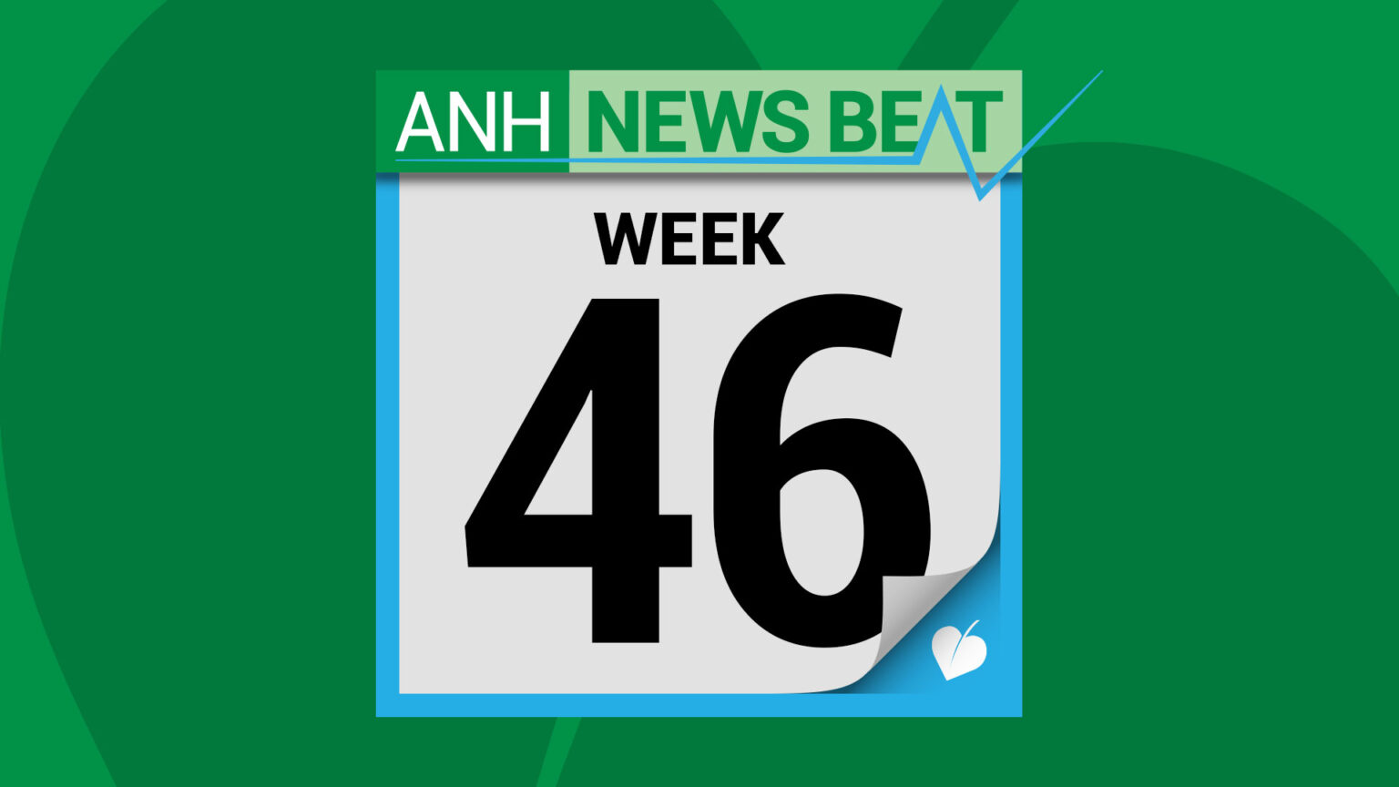ANH News Beat (week 46/2025) 696ea69a86df4.jpeg