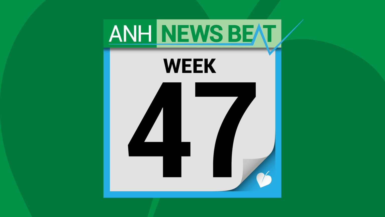 ANH News Beat (week 47/2025) 696ea6806e1ce.jpeg